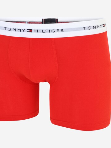 Tommy Hilfiger Underwear - Calzoncillo boxer en azul