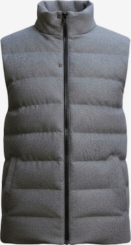 Ombre Bodywarmer in Grijs: voorkant