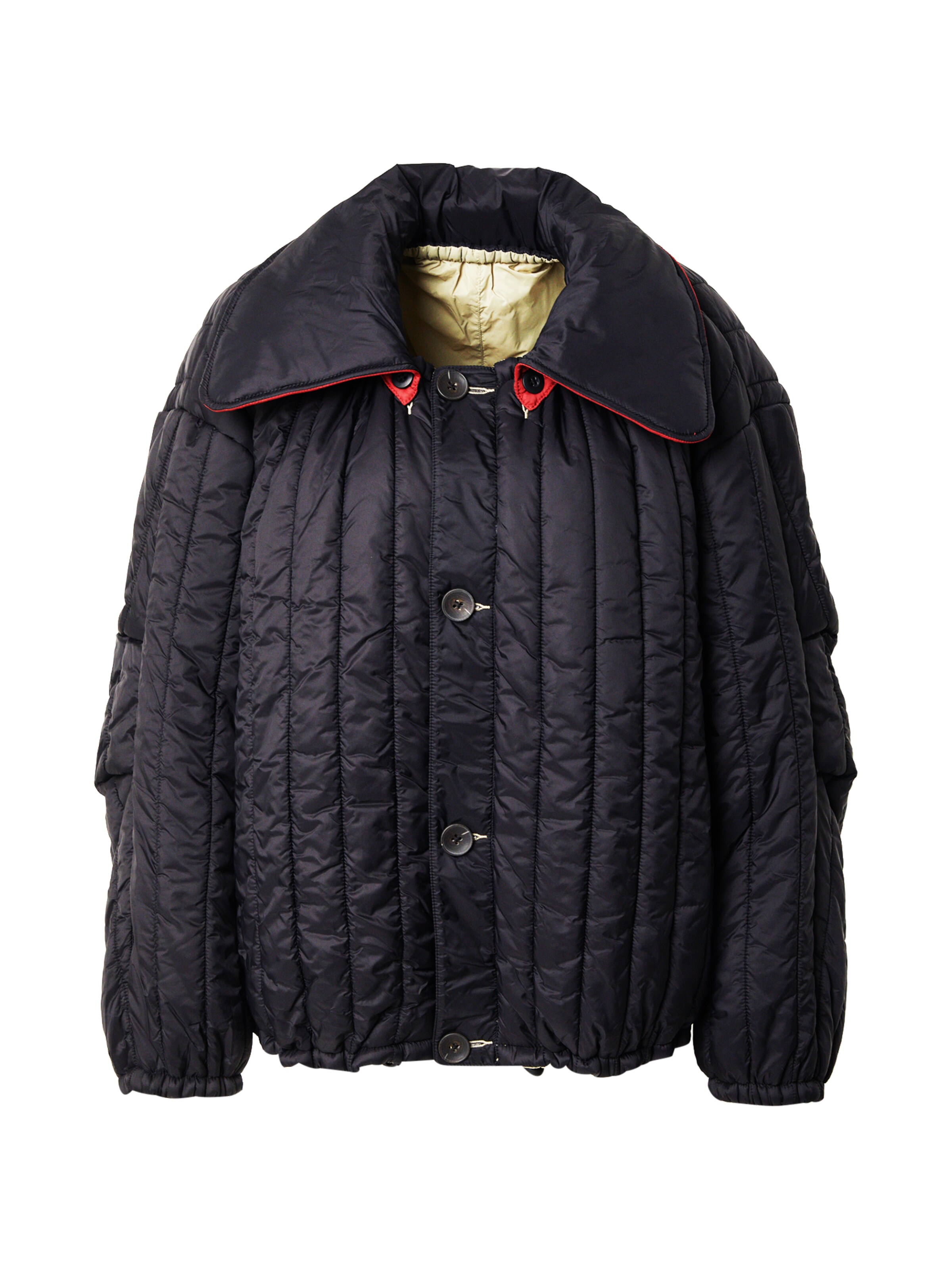 TOPSHOP Преходно яке 'SELLY' в зелено