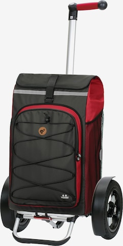 Trolley 'Fado 2.0' di Andersen Shopper in rosso: frontale