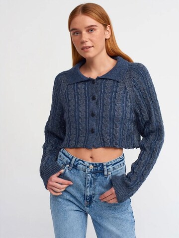 Cardigan Dilvin en bleu : devant