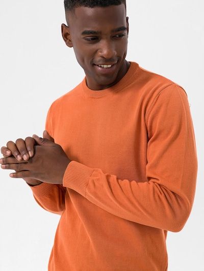 Dandalo Pullover in orange, Produktansicht