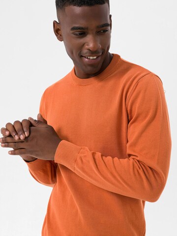 Dandalo Pullover in Orange