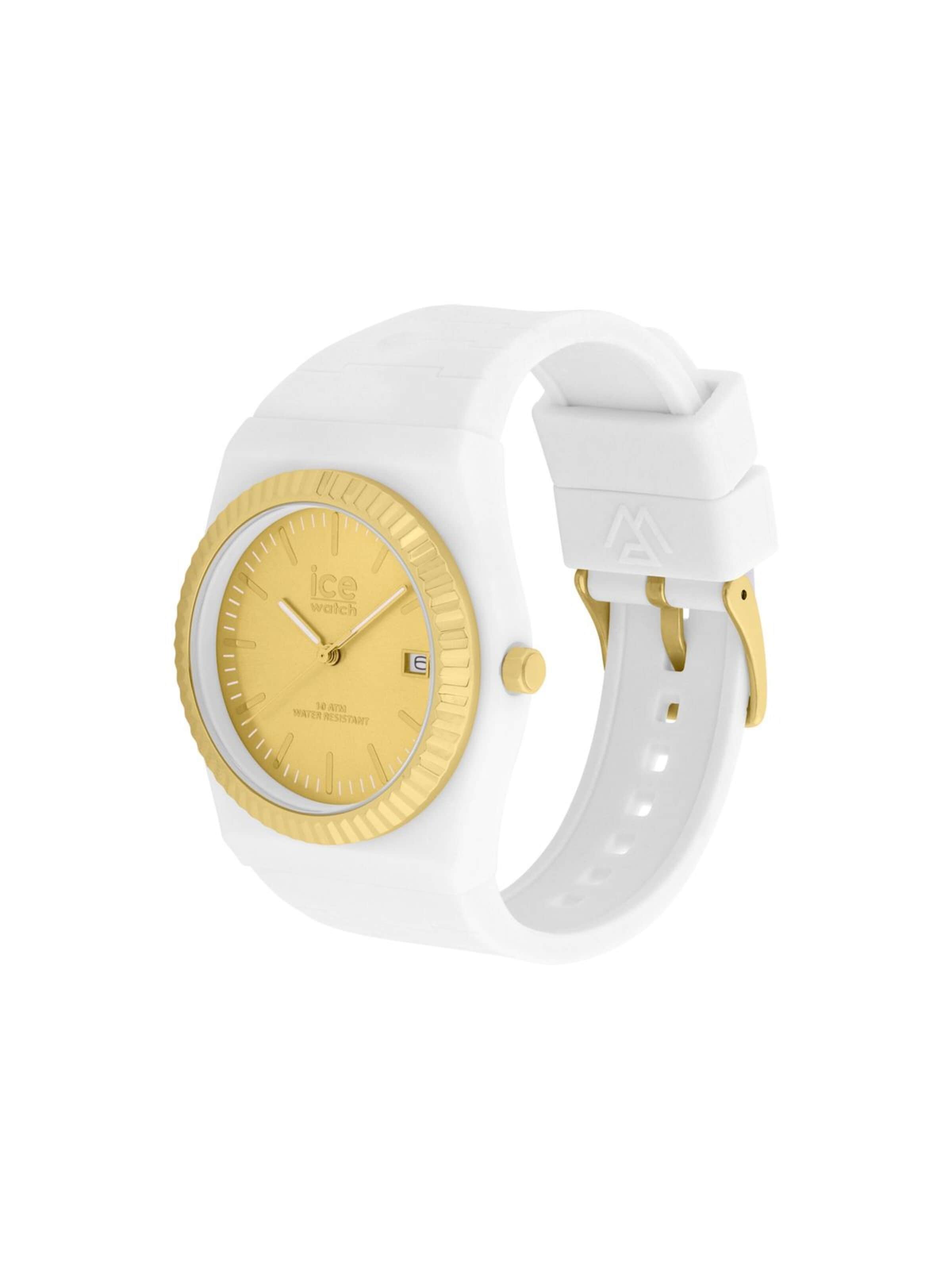 Montre à affichage analogique 'Date watch ICE power PW1' ICE WATCH en blanc