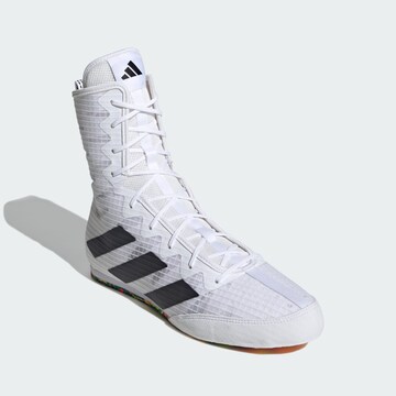 Chaussure de sport ' Box Hog 4' ADIDAS PERFORMANCE en blanc