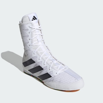 ADIDAS PERFORMANCE Athletic Shoes ' Box Hog 4' in White