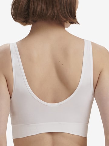 ADIDAS SPORTSWEAR Bustier Bustier ' SCOOP LOUNGE BRA ' in Braun