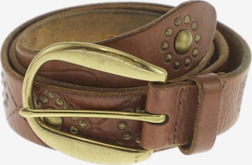 Polo Ralph Lauren Belt in One size in Brown: front