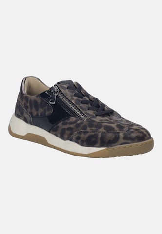 JOSEF SEIBEL Sneaker 'Arleen 04' in Beige