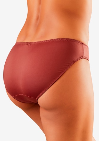 NUANCE Panty in Brown