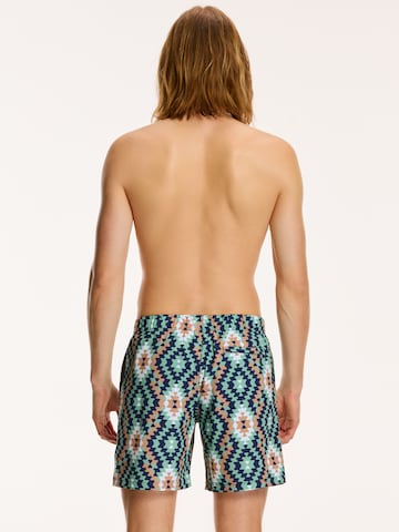 Shiwi Ujumispüksid, värv segavärvid
