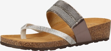 SCAPA T-Bar Sandals in Grey: front