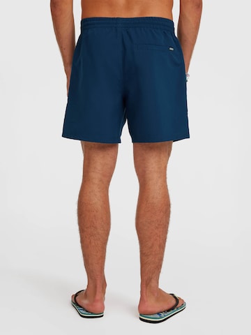 O'NEILL - Bañador deportivo en azul