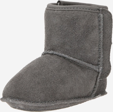 UGG Апрески 'CLASSIC' в сиво: отпред