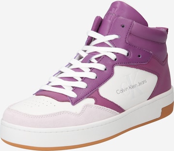 Baskets hautes Calvin Klein Jeans en violet : devant