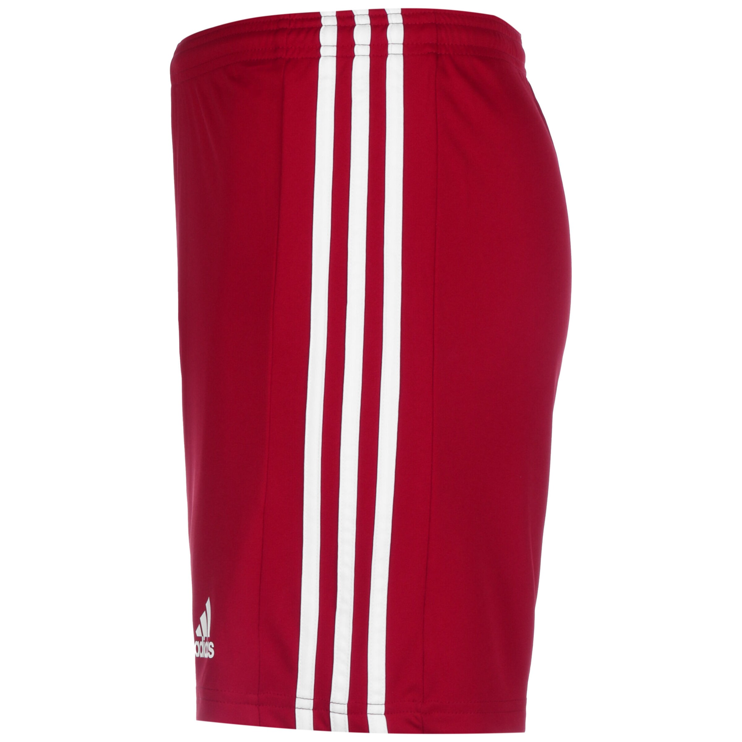ADIDAS PERFORMANCE Regular Workout Pants 'Squadra 21' in Red