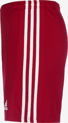ADIDAS SPORTSWEAR Regular Workout Pants 'Squadra 21' in Red
