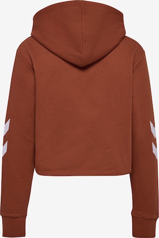 Hummel Sweatshirt in Brown