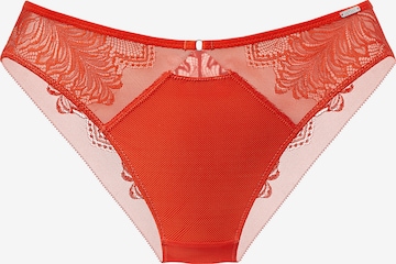 LASCANA Kalhotky – oranžová: přední strana