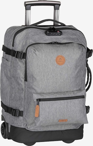 Cabaia Trolley in Grau: Vorderseite