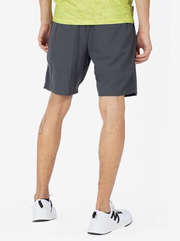 Spyder Regular Shorts in Grau