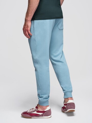 Ombre Tapered Hose in Blau