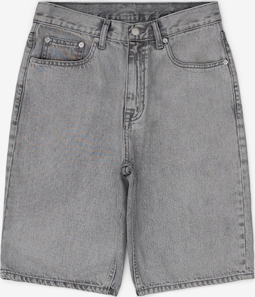 Dr. Denim Loose fit Jeans 'Omar' in Grey: front