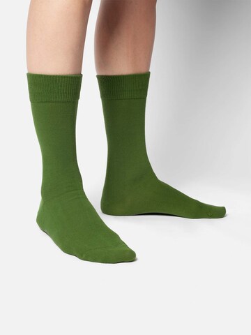 DillySocks Socken 'D-Compose 2er Set' in Grün