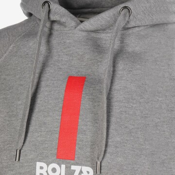 Bolzr Sweatshirt in Grau