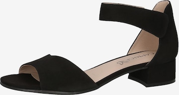 CAPRICE Sandals in Black: front