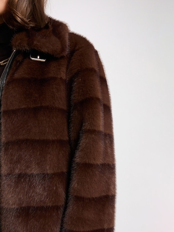 Morgan Prehodna jakna '261-GFOLKA' | rjava barva