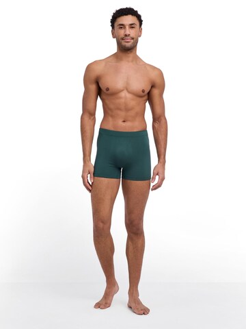 FALKE Boxer shorts 'Seamless' in Green