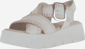 Sandalo di GABOR in beige: frontale