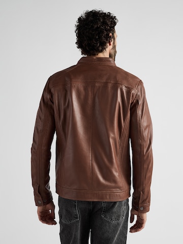 JCC Tussenjas in Bruin