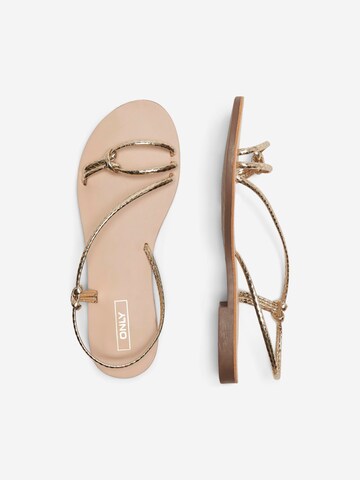 ONLY Sandals 'MELLY' in Gold