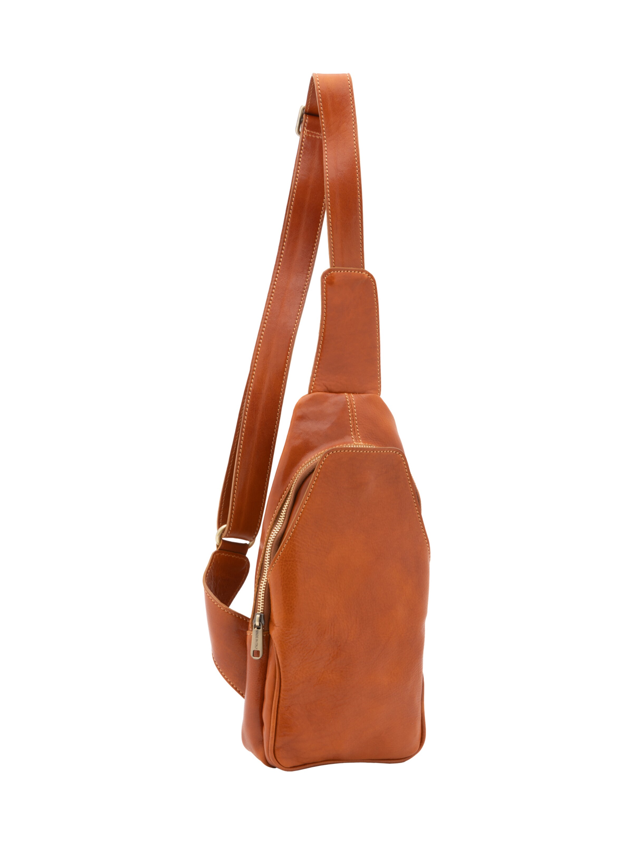 Viola Castellani Crossbody bag in Brown: front