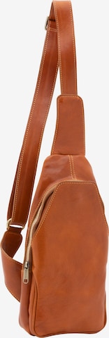 Viola Castellani Crossbody bag in Brown: front