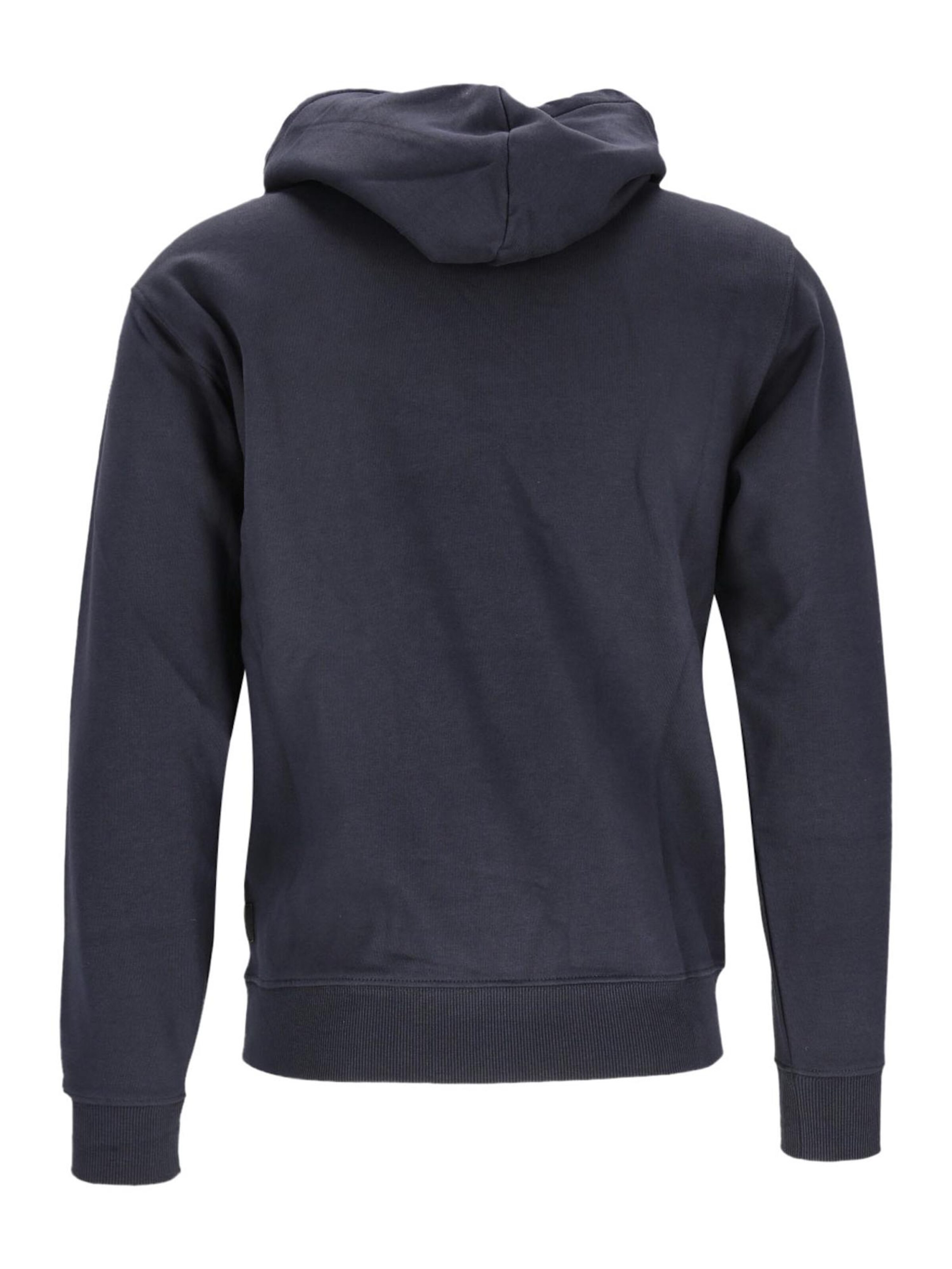 REPLAY Sweatshirt in Grey