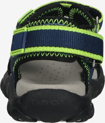 GEOX Open schoenen in Blauw