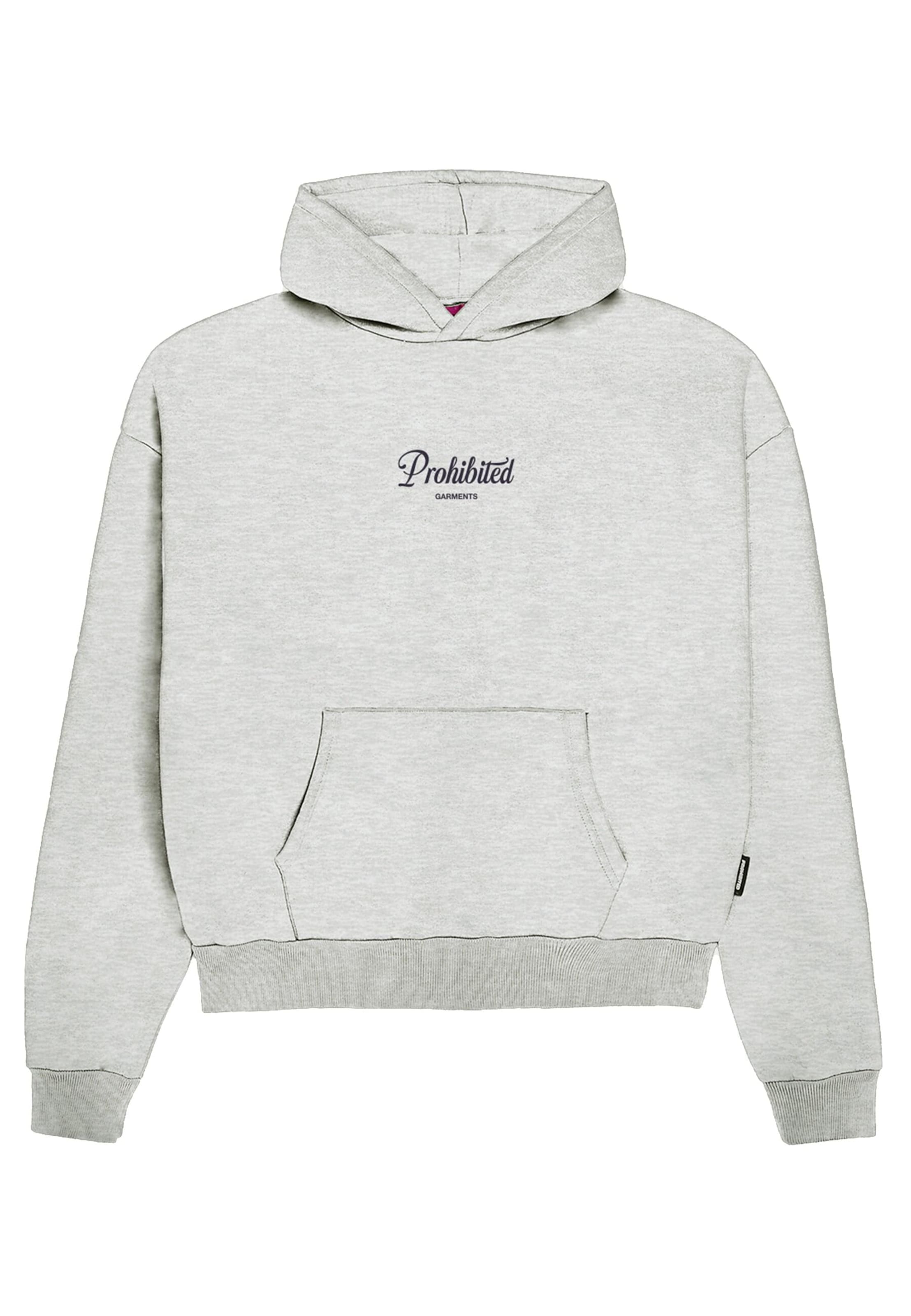 Prohibited Sweatshirt in Grau: Vorderseite