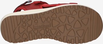 JOSEF SEIBEL Sandals 'Annie 01' in Red