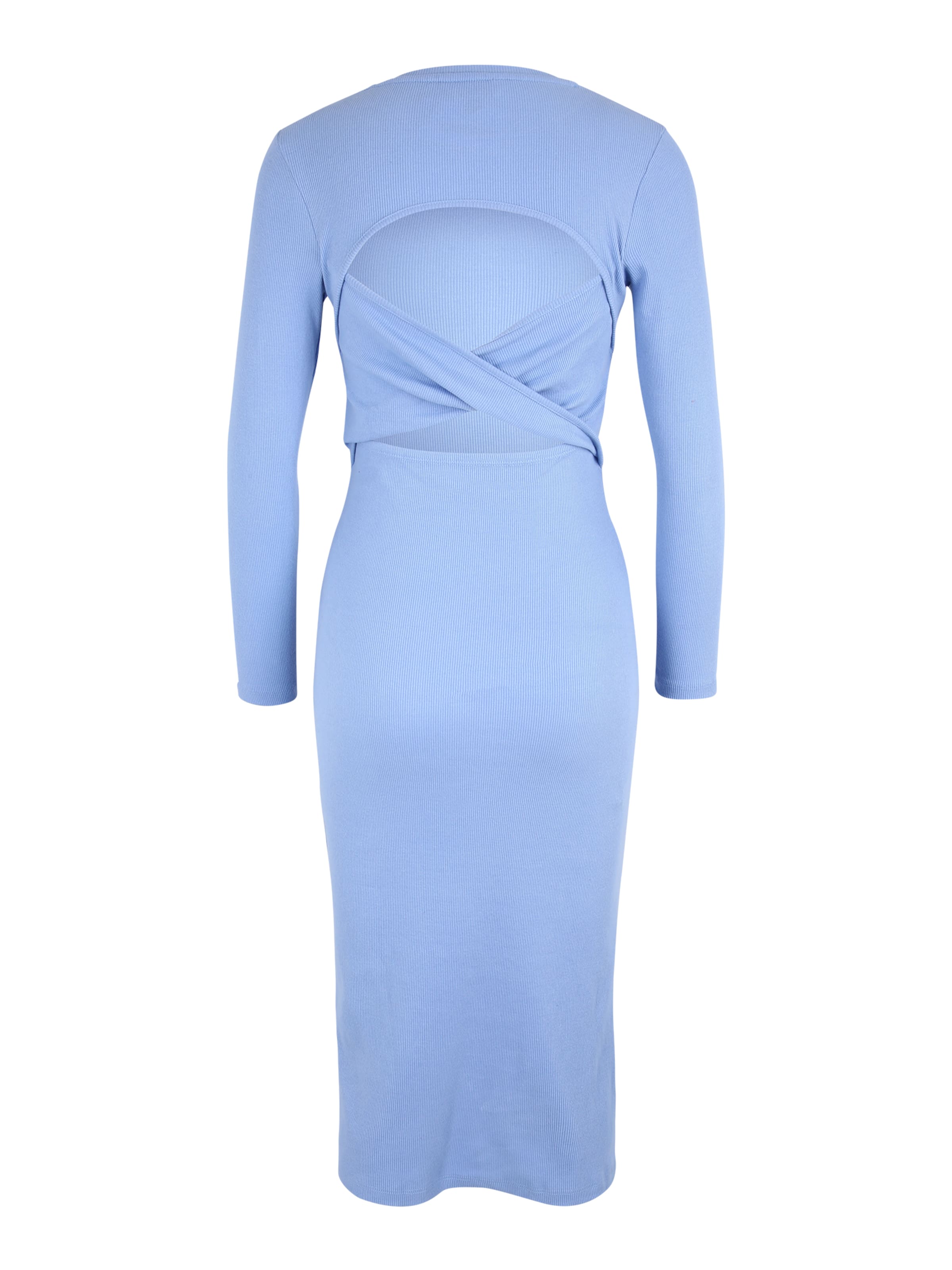 Dorothy Perkins Petite Dress in Blue