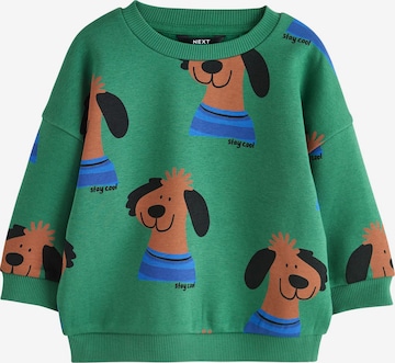 Next Sweatshirt in Groen: voorkant