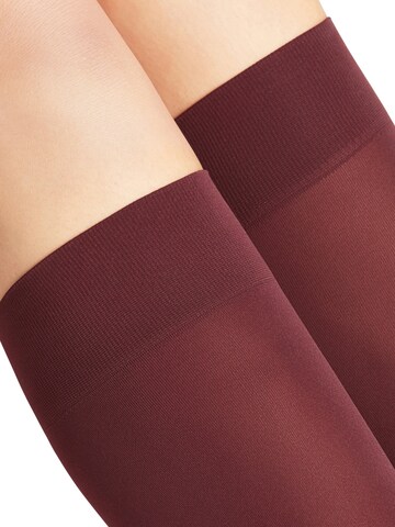 FALKE Overknee Strümpfe 'Pure Matt'‌‌‌‌‌‌‌‌‌ in Rot