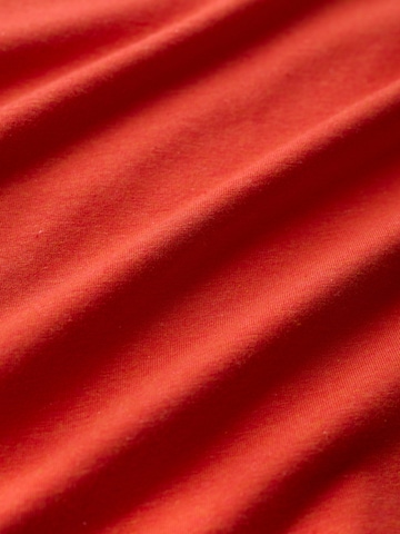 T-shirt 'Landing' Seasalt Cornwall en orange