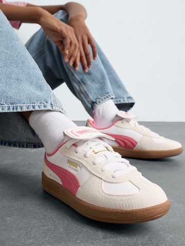 PUMA Σνίκερ 'Palermo Premium' σε λευκό