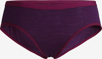 ICEBREAKER Panty 'Siren' in Purple: front