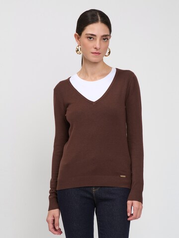 Influencer Sweater in Brown: front