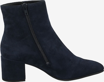 Högl Ankle Boots in Blue