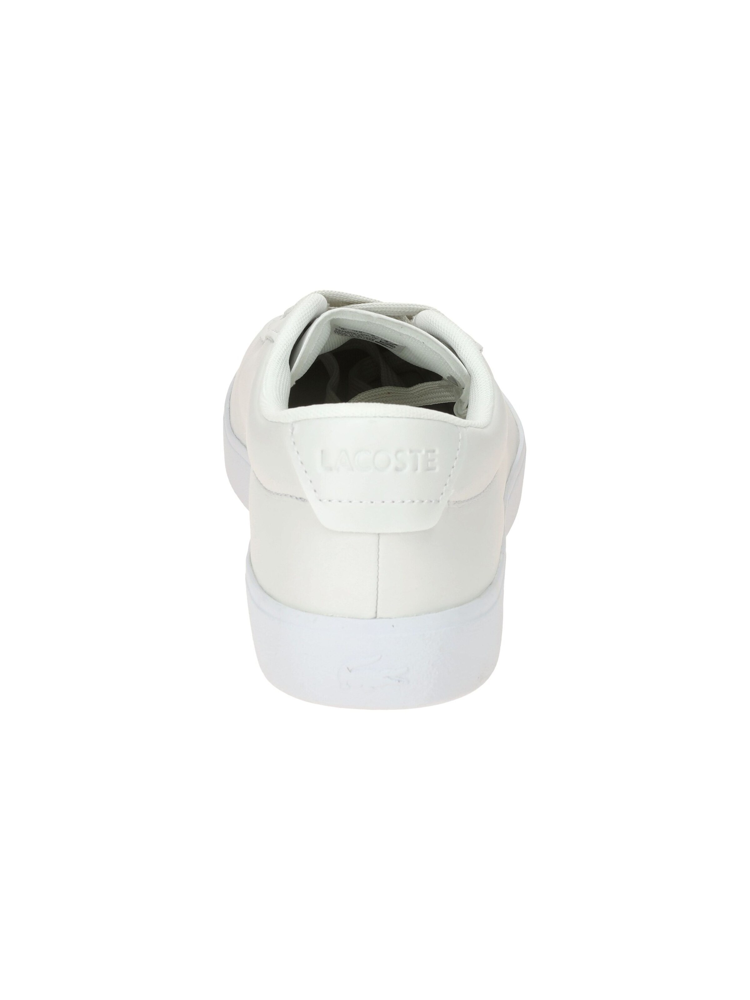 LACOSTE Sneaker low 'Baseshot 0065'‌‌‌‌‌‌‌‌ in Weiß